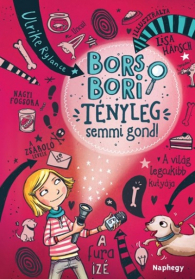Bors Bori - Tényleg semmi gond! - Viki kvíze borító