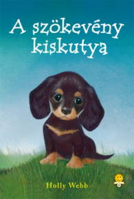 Szökevény kiskutya - a 8. N kvíze borító